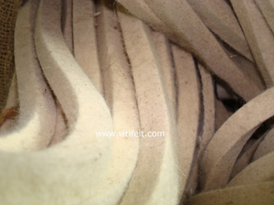 felt wiper
